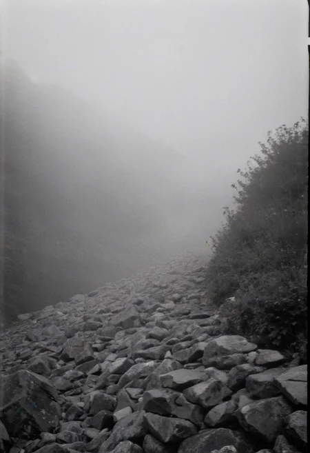 KB_Kentmere400, instagram photo, a foggy mountain, soft shadows, film grain