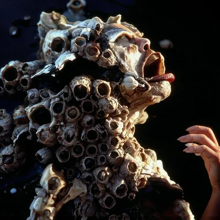 Cinematic macro photograph, an extreme close-up revealing a woman's face as it is horrifically overwhelmed and suffocated by dense, dry barnacle encrustations. The scene is lit by clear, bright, slightly overcast daylight, casting soft, subtle shadows that define the contours of her features beneath the parasitic growth, allowing the varied matte textures of the barnacles to be the primary focus. Her facial skin is entirely consumed by a chitinous, calcified mass of closely packed, conical barnacle shells. These shells, utterly dry and matte, exhibit a disturbing range of desaturated, dusty colors: some are chalky greyish-white, others show faint pinkish or purplish striations around their edges, while larger, more established ones fused to her cheekbones or forehead are stained with dull ochre, pale lime green, or hints of tarnished blue, emphasizing their fossilized, invasive nature. The fused clusters form an irregular, abrasive topography over her nose, lips, and eyelids, with individual apertures appearing as dark, empty voids within the dry, variously hued stony structures, where her eyes or mouth should be. The shallow depth of field achieves razor-sharp focus on a specific section of the dense barnacle field on her face, rendering the minute, dry details of each calcified, subtly colored shell and their interlocking, suffocating formation with immaculate clarity and hyper-detail. Though lit by daylight, the sheer unrelenting overgrowth violating human features creates a profound Cronenberg-esque sense of biological invasion and psychological dread, feeling visceral and disturbing in its chitinous, desiccated, yet subtly colored horror. Muted, slightly varied colour palette reflecting the barnacles. Modern, high-resolution digital photograph.