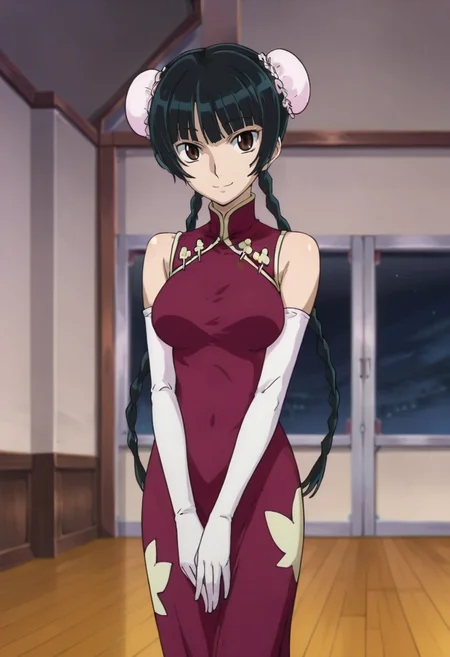 score_9,score_8_up,score_7_up,anime coloring BREAK source_anime,anime,<lora:Wang_Liu_Mei_Gundam_00_Pony:0.8>,liumei,1girl,solo,brown eyes,black hair,twin braids,hair bun,double bun,bun cover,china dress,elbow gloves,smile,standing,v_arms,indoors,exhibition hall,