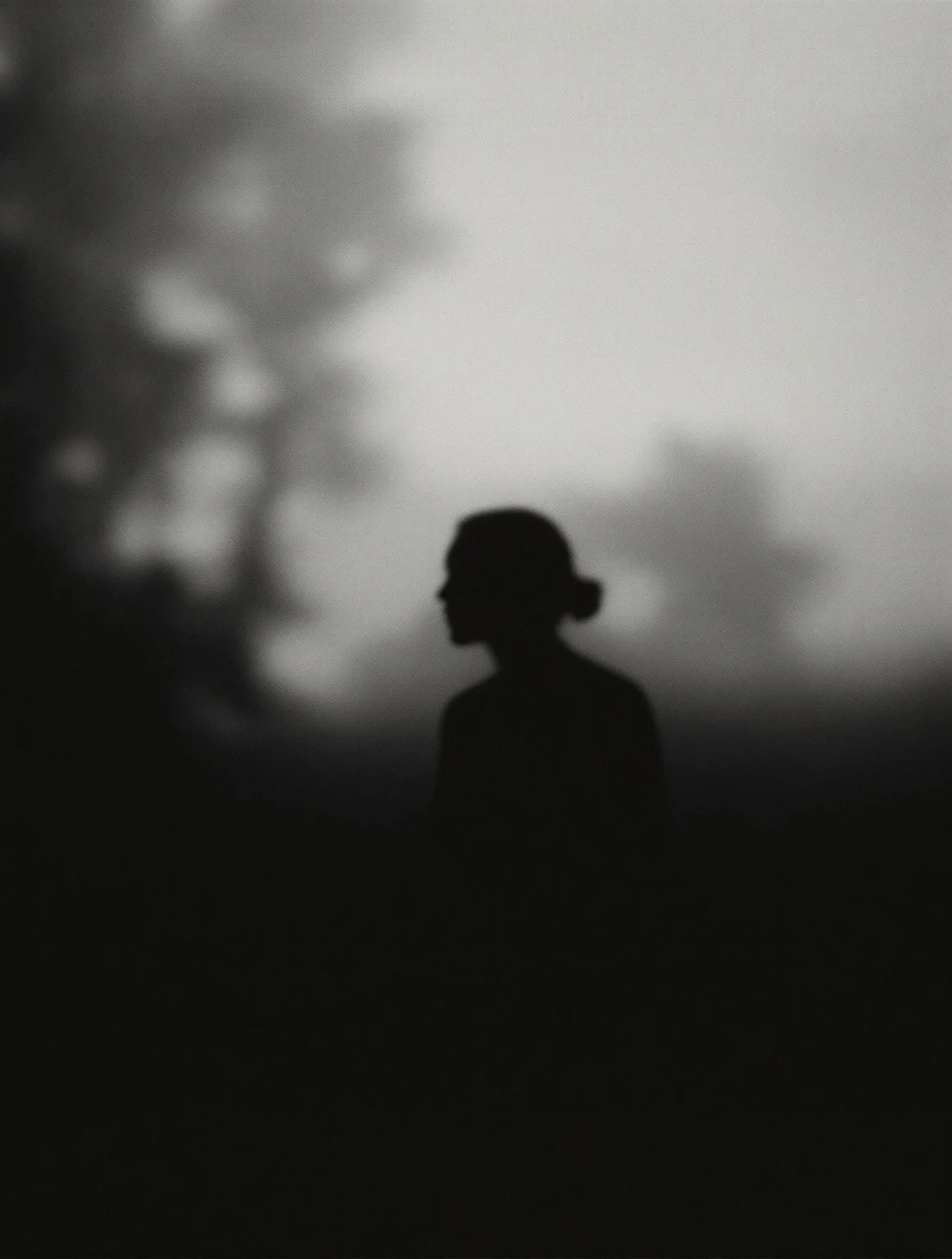 post-documentary silhouette photography, Mann-inspired ethereal grain, atmospheric depth, temporal echoes, intimate storytelling dissolving into abstract forms –style ethereal