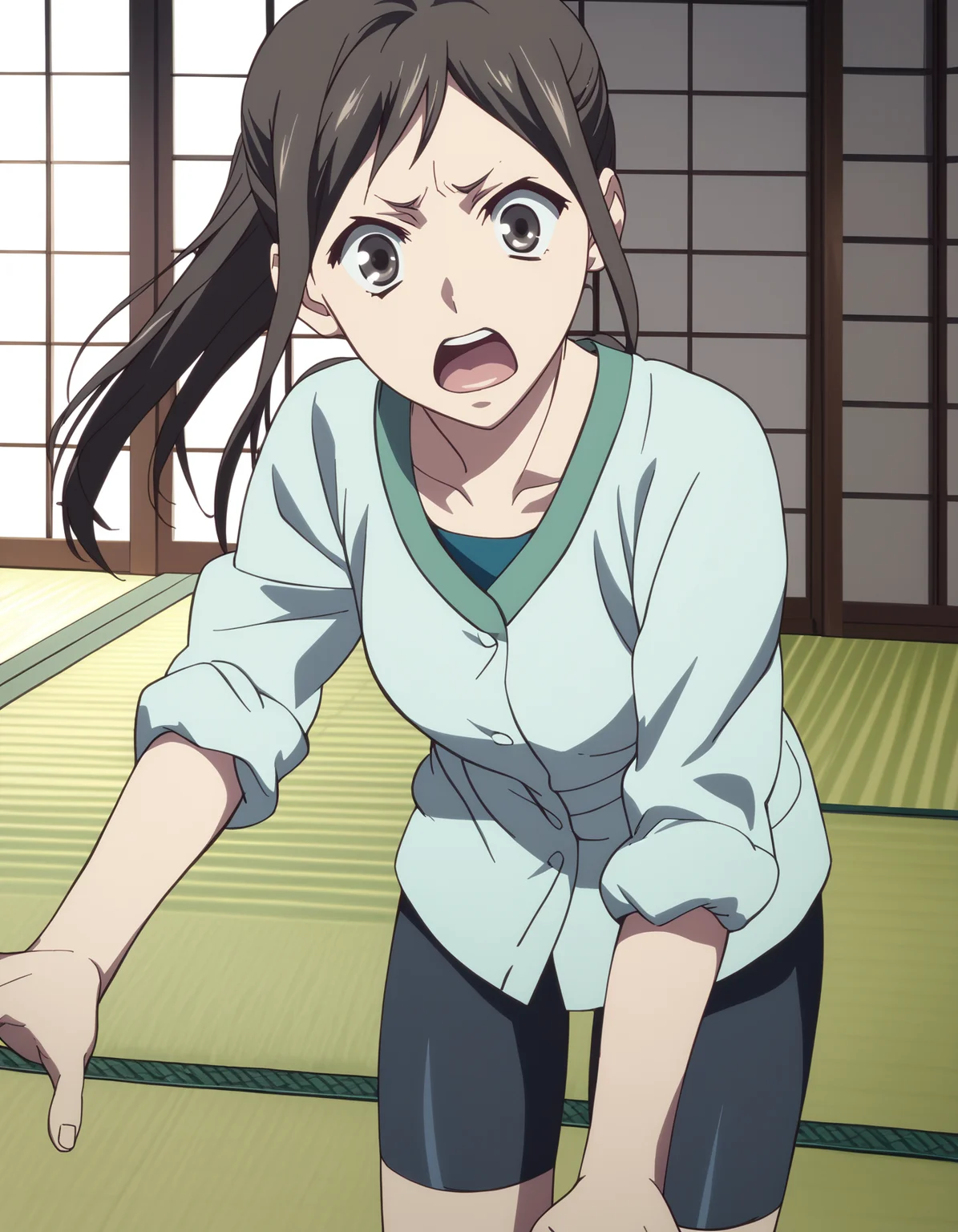 score_9, score_8_up, score_7_up, source_anime, <lora:minko-000007:1> tsurugi minko, long hair, black hair, ponytail
bike shorts, dress shirt,
surprised, open mouth, looking at viewer, tatami