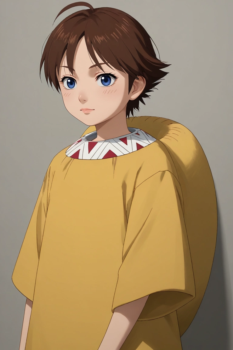 score_9, score_8_up, score_7_up, source_anime, rating_safe, intricate details, (3d:0.4), , , 1girl, solo, <lora:he_liao_diao_pony:0.76>, he_liao_diao, brown hair, blue eyes, short hair, aged down, , , <lora:sdxl_lightning_8step_lora:1>