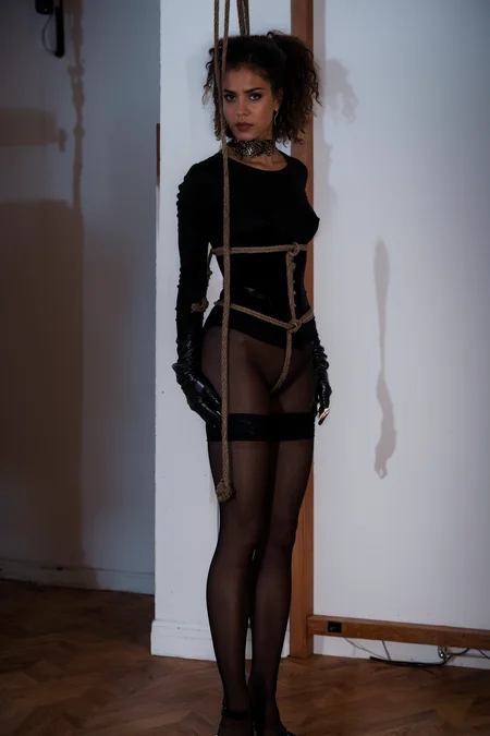 Preview 3165401