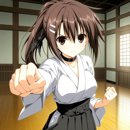 <lora:Minakami_Yuki_1_nai-000047:1>,Minakami Yuki,ponytail,hairclip,hair ornament,
japanese clothes,hakama,hakama skirt,collar,
1girl,solo,front view,fist shaking,serious,angry,reaching towards viewer,indoors,dojo,