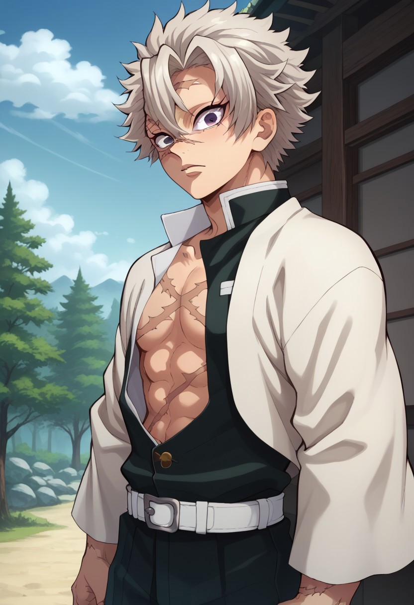 score_9, score_8_up, score_7_up, source_anime, highly detailed, 
sanemi, 1boy, demon slayer uniform, male focus, scar, solo, scar on face, scar on chest, scar on forehead, pants, belt, japanese clothes, black pants, looking at viewer, scar on arm, long sleeves, grey hair, haori, standing, open clothes, wide sleeves, upper body
outdoor, sky, tree, shadows,