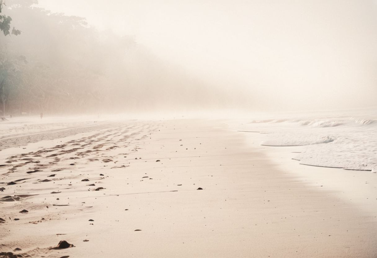 lith_argenta_BH1r,  instagram photo, a foggy beach in asia, hard shadows, film grain