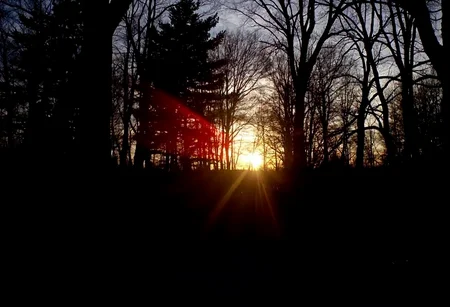 aesthetic2000s, amateur photo, forest, trees, sunset, light flare, red light, beam, dusk, nature, woodland, scenic, shadow, path, moody, dark, mystical, ethereal, backlit, glow, outdoors, natural, atmospheric, serene, tranquil, mysterious, silhouette,