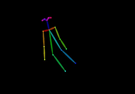Generated OpenPose Skeleton