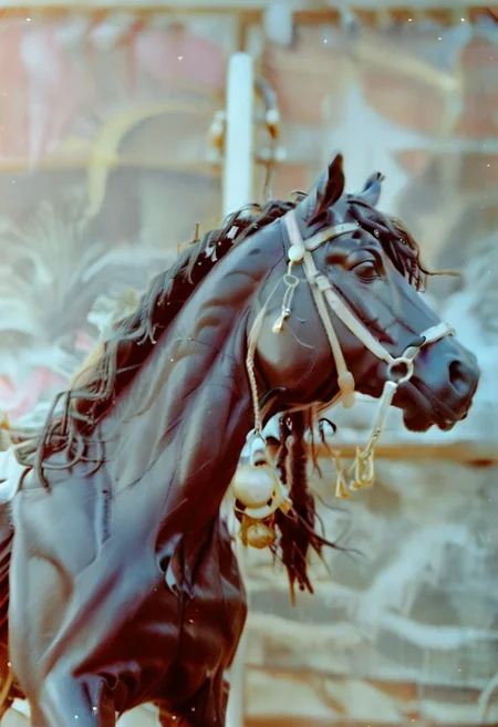 c41_hasselblad_portra400, cinematic photo Documentery Photo a black horse on the beach, discovery magazine, cinematic photorealistic, 8k uhd natural lighting, raw, rich, intricate details, key visual, atmospheric lighting, 35mm photograph, film, bokeh, professional, 4k, highly detailed . 35mm photograph, film, bokeh, professional, 4k, highly detailed