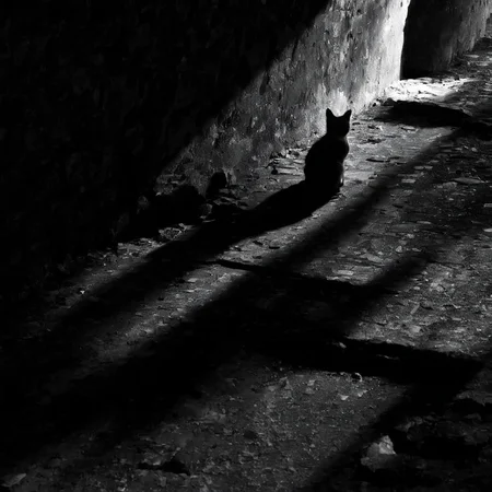 <lora:SDXL_feelings_Sa_May-v5:1> feelings, cat sitting in a dark room with a light coming through the window