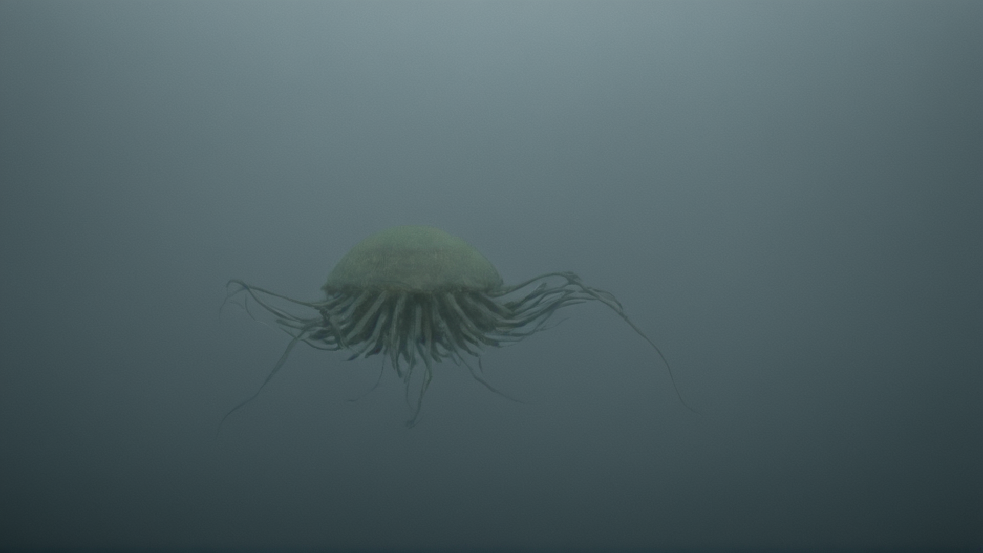<lora:Invincible (TV series):0.9>
 <lora:detailed:0.3> detailed
 <lora:perfection style:0.3> perfect
 <lora:PerfectEyesXL:0.3>
 <lora:Unreal Engine style:0.3>
parasitic Creatures Sequids