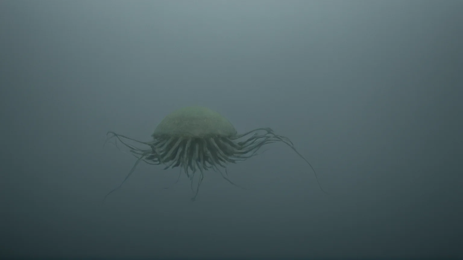 <lora:Invincible (TV series):0.9>
<lora:detailed:0.3> detailed
<lora:perfection style:0.3> perfect
<lora:PerfectEyesXL:0.3>
<lora:Unreal Engine style:0.3>
parasitic Creatures Sequids