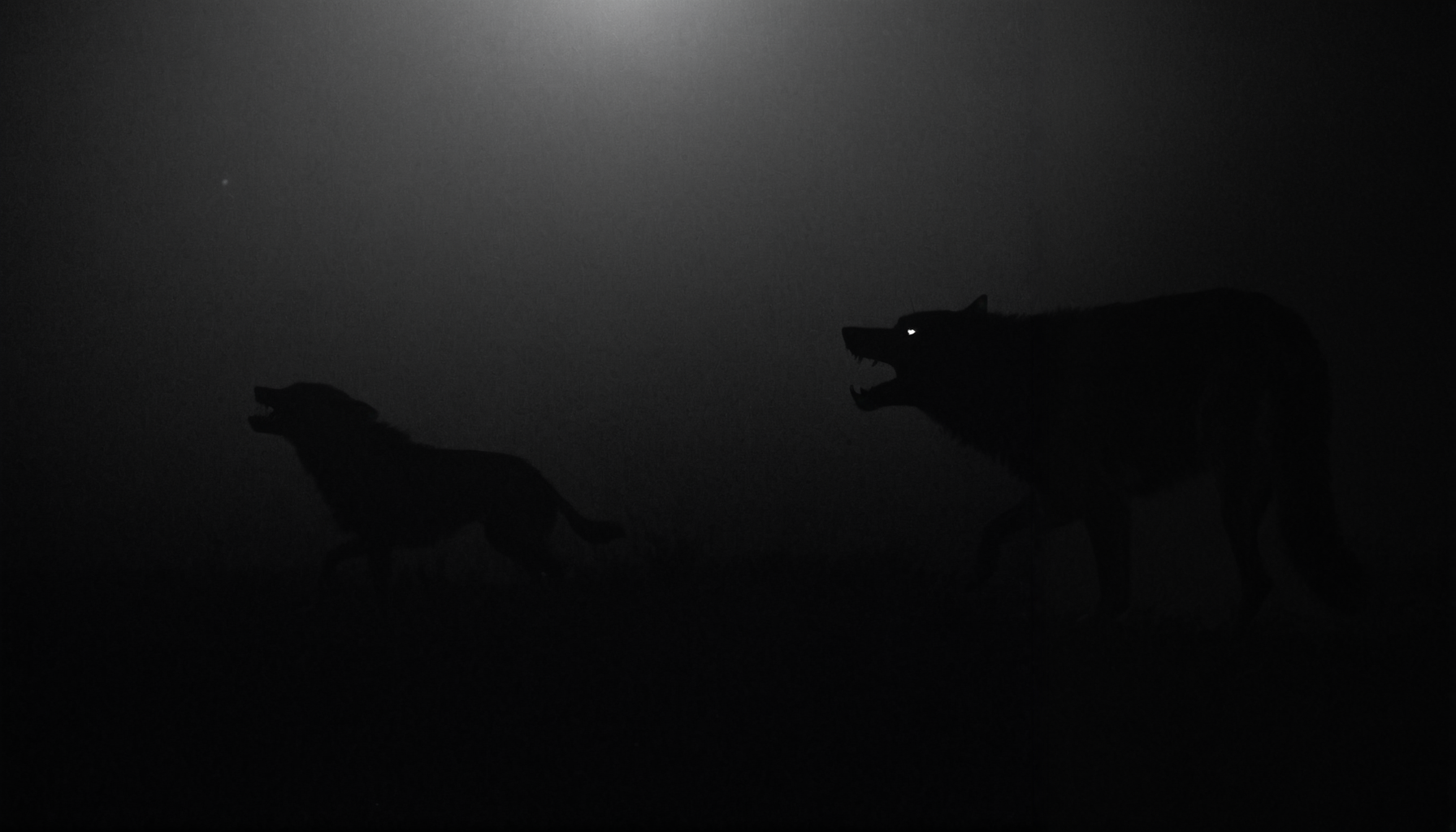 <lora:BWGH625600:0.9> (dark night, cinematic black and white:1.2), (wolves, [the baying of the hounds : Diabolical beasts and roaming the forest:0.5]:1.2), ([running wolves : luminous glowing wolf eyes in the darkness:0.5]:1.3), (snarling sharp teeth:1.1), atmospheric fog
BREAK haunting, dramatic, ornate, detailed, (sharp focus:1.1) [by Fuseli : by Sydney Parkinson:0.5]