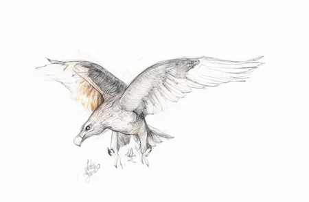 Sharp image of a rough sketch, rendered in vibrant multi colour ballpoint pen, capturing the adorable features of a pencil sketch of an eagle in flight. The eagle is depicted in a realistic style, with its wings spread wide and its head turned towards the right side of the image. Its body is elongated and its talons are extended, as if it is about to take off. Its beak is open and its eyes are focused on something in the distance. The sketch is done in black and white, with the eagle's feathers and beak clearly visible. The background is a plain white, making the eagle stand out. p3nsk, <lora:p3nsk:1>