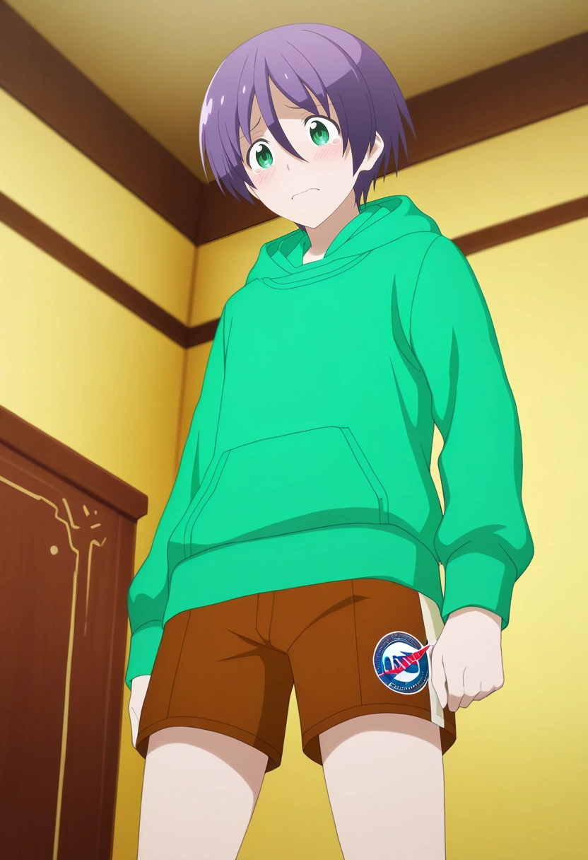 masterpiece, best quality, , anime screencap, , ,, 1boy, solo, male focus, <lora:nasa_yuzaki_ilxl:0.98>, nasa_yuzaki, purple hair, green eyes, short hair, hair between eyes, green hoodie, from below, armory, indoors, arm at side, tearing up, Moroccan Satin Rugby shorts, Sweater, , ,
