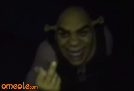 An omegle.com webcam taken at night of Shrek in a swamp smiling a very wide, creepy, and extremely uncanny smile. It is dark. Shark is not wearing a shirt middle finger to the camera <lora:lora09.TA_trained:1>