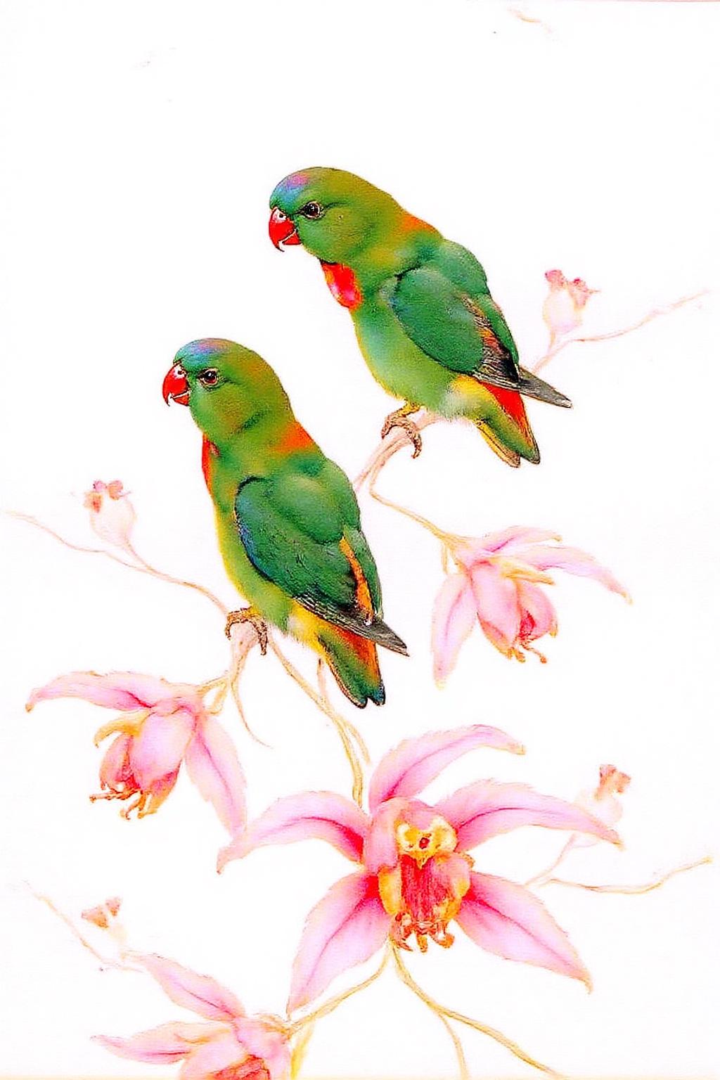detmo1d watercolor painting.
A delicate, watercolor painting featuring two lovebirds perched on a branch adorned with flowers. The artwork is rendered in soft, vibrant colors with a light, airy style typical of watercolor. The two lovebirds are predominantly green with bright red beaks and legs. Their feathers display a gradient of green hues, transitioning from a deeper green on the back to a lighter green on the chest. <lora:detmold1_cap_d6a3e13:1.0><lora:831781667682348129:0>