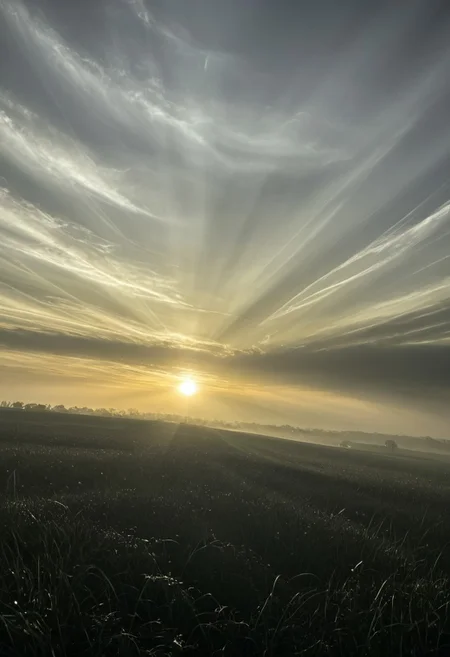 A reclining figure bathed in warm, golden light, their silhouette gradually merging with a field of pulsating, star-like forms that shimmer with hidden movement., minimalist, moody, atmospheric, foggy, high contrast, muted colors, cinematic, ethereal, surreal, centered composition, soft lighting, symmetrical framing, photographic style, dreamlike ambiance