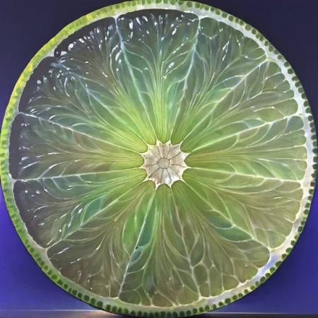 a hyper realistic image of a translucent thin slice of a green lime fruit, backlit with a dark blue background, fruityslices style
<lora:FruitySlicesXL-000003:1.0>
<lora:FruitySlicesXL-000003:1.0>