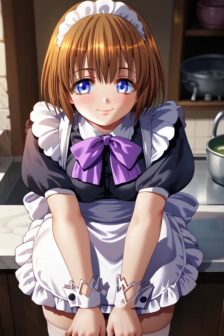 score_9, score_8_up, score_7_up, score_6_up, ,high quality, very detailed, 4k resolution, 1girl,solo focus,HimeEster, MaiEster,brown hair,short hair,tareme eyes,maid headdress,maid dress,pruple ribbon,short sleeves,silk cuffs,apron,stockings,Mary janes,close up,old kitchen,hand on legs,smile,happy face,cute face <lora:Ester:1>